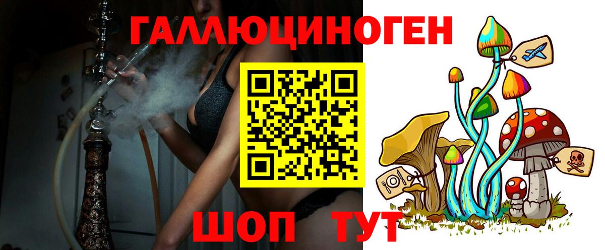 Евпатория  Псилоцибиновые грибы GOLDEN TEACHER  Вход с VPN 